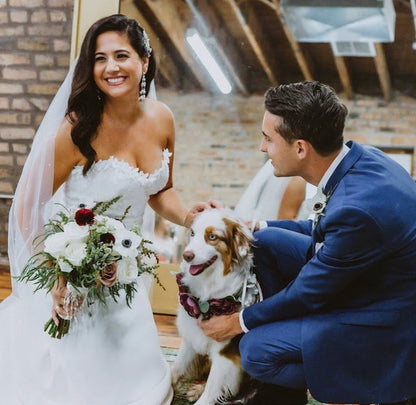 Chloe Pavé Crystal Chandelier Earrings